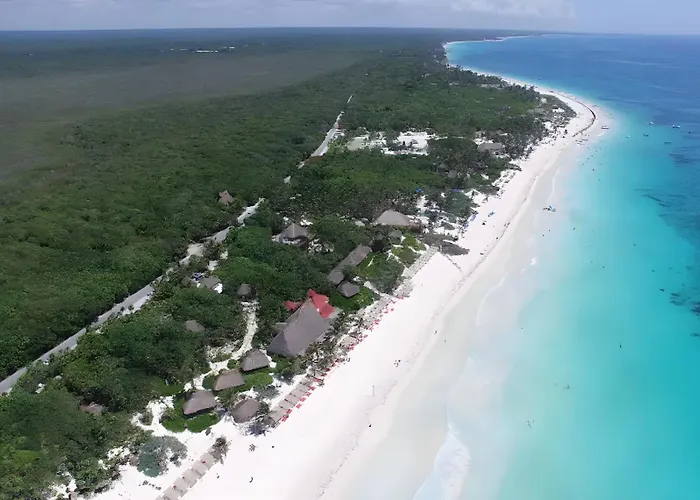 Luxury Penthouse W-jacuzzi In The Heart Of Apartamento Tulum